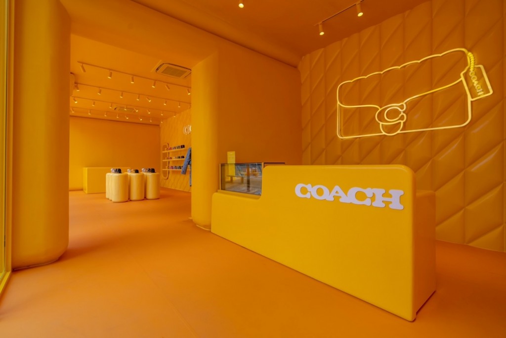 16_The Coach Tabby Shop