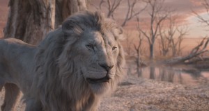 ชมความงามของทวีปแอฟริกาผ่านฉากตระการตาใน “Disney’s Mufasa: The Lion King มูฟาซา: เดอะ ไลอ้อน คิง” ภาพยนตร์แห่งปีที่ทุกเสียงการันตีความยอดเยี่ยม