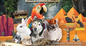 กลับมาแล้ว!!  We Love Pets ครั้งที่ 10 “Treasure Hunt Journey”  ผจญภัยไปกับเหล่าสัตว์น้อยแสนน่ารัก พร้อมร่วมบริจาคให้กับมูลนิธิโรงพยาบาลราชวิถี  29 – 30 ตุ.ค.นี้  ณ  เซ็นทรัลพลาซา พระราม 2