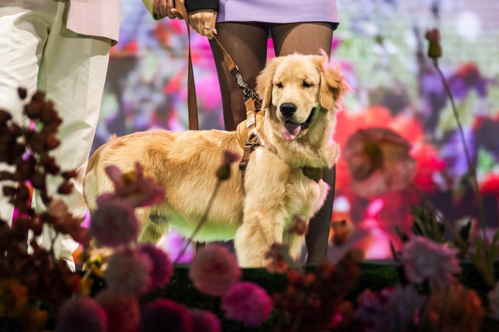 Markim Garden of Live (13)