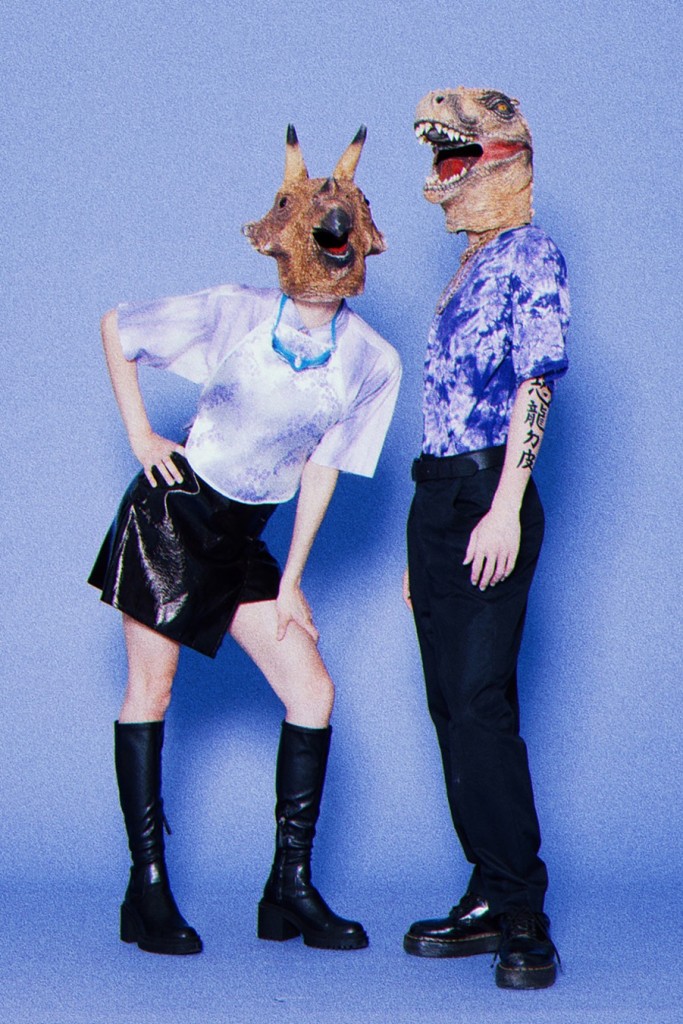 THE DINOSAUR’S SKIN